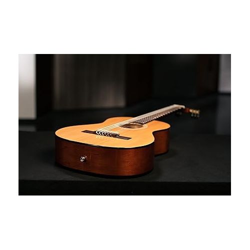  Ortega Guitars 6 String Student Series 3/4 Size Nylon Classical Guitar, Right (RST5-3/4)