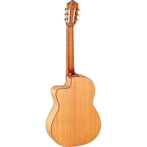  [아마존베스트]Ortega Guitars Ortega RCE179SN-25TH 25th Anniversary Electro Acoustic Classical Guitar with Bag