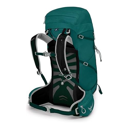  Osprey Tempest 30L Women's Hiking Backpack with Hipbelt, Jasper Green, WM/L