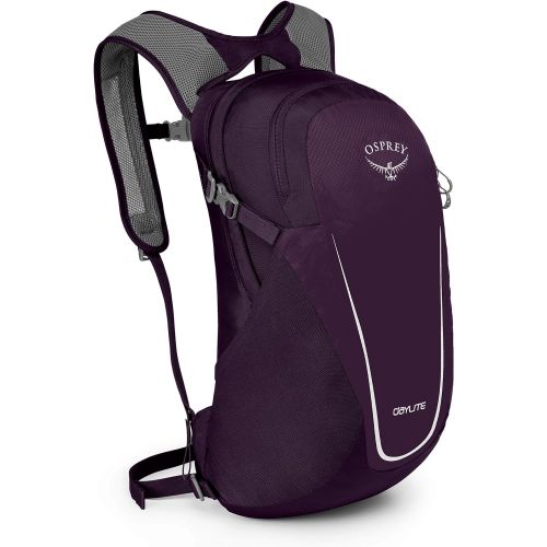  [아마존베스트]Osprey Packs Daylite Daypack