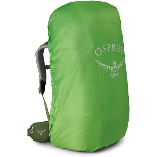  Osprey Ace 75 Kids Backpacking Backpack, Venture Green