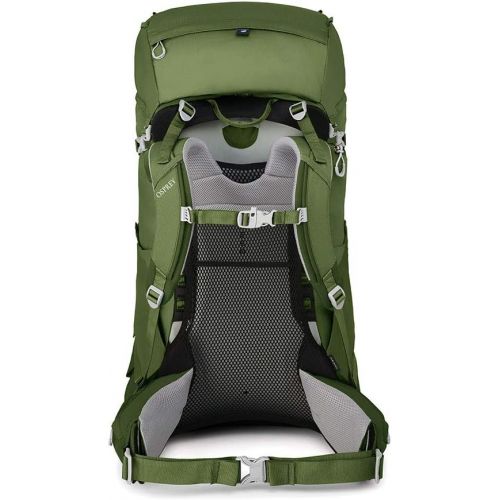  Osprey Ace 75 Kids Backpacking Backpack, Venture Green