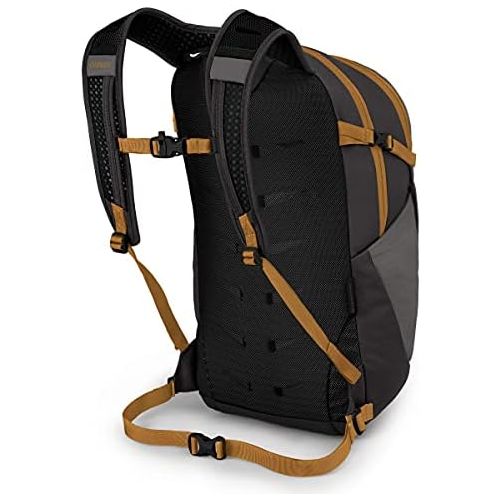  Osprey Daylite Plus Daypack, Ash/Mamba Black