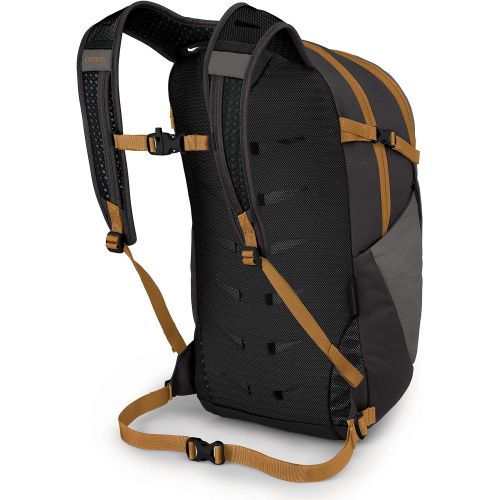  Osprey Daylite Plus Daypack, Ash/Mamba Black