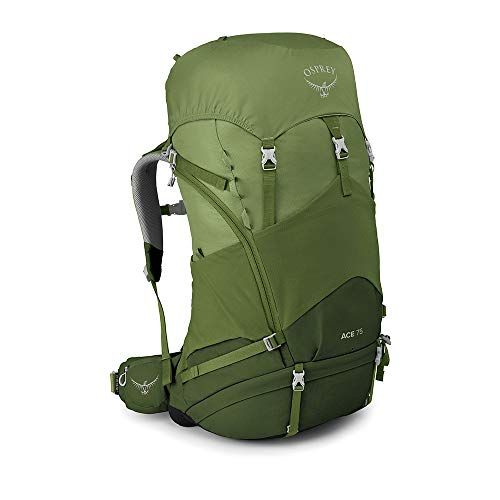  Osprey Ace 75 Kids Backpacking Backpack, Venture Green