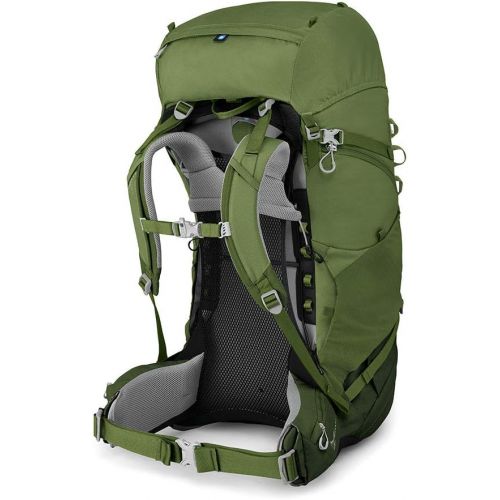  Osprey Ace 75 Kids Backpacking Backpack, Venture Green