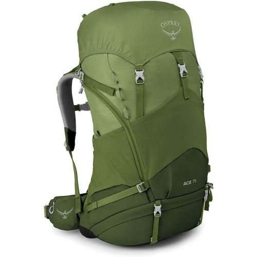  Osprey Ace 75 Kids Backpacking Backpack, Venture Green