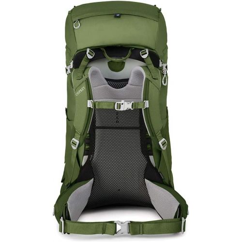  [아마존베스트]Osprey Ace 75 Kids Backpacking Backpack, Venture Green