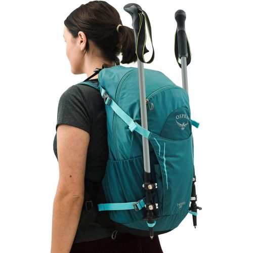  Osprey Hikelite 26 Hiking Backpack , Aloe Green