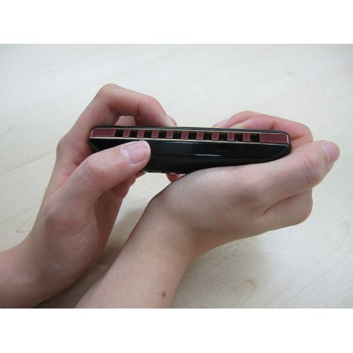  Other Harmonica (Suzuki-Overdrive-F)