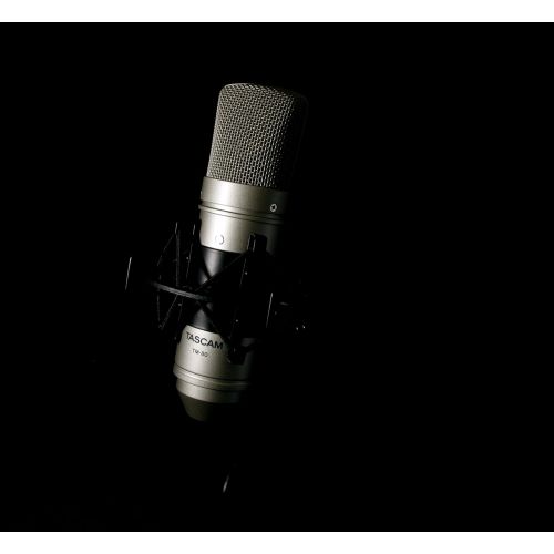  Tascam TM-80 Large Diaphagm Condenser Microphone