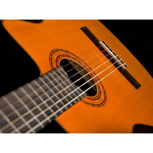  Washburn Classical C5CE Cutaway , Acoustic Electric Guitar