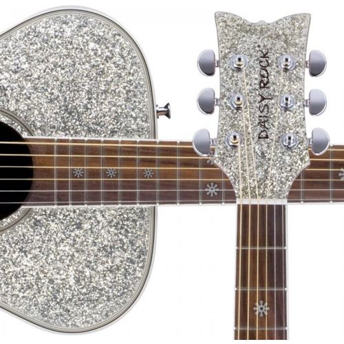  Other 6 String Acoustic Guitar, Right, Silver Sparkle (Other)