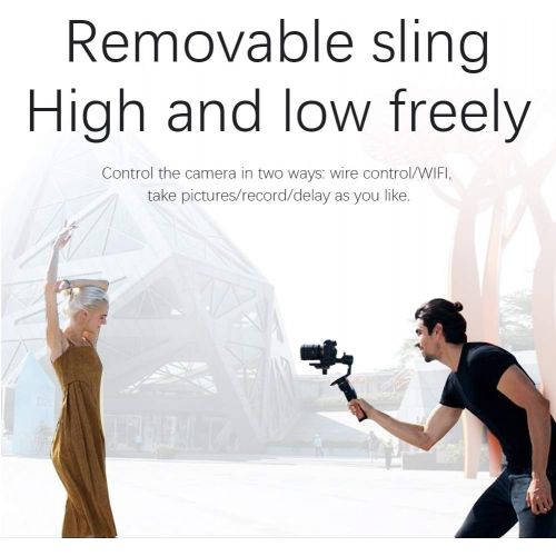  Oumij1 Handheld Gimbal Stabilizer SLR 3Axis AK2000S Camera, Mirrorless Cameras Professional Video Stabilizer Compatible with Antishake Balancer,Mirrorless Cameras Professional Video Stabi