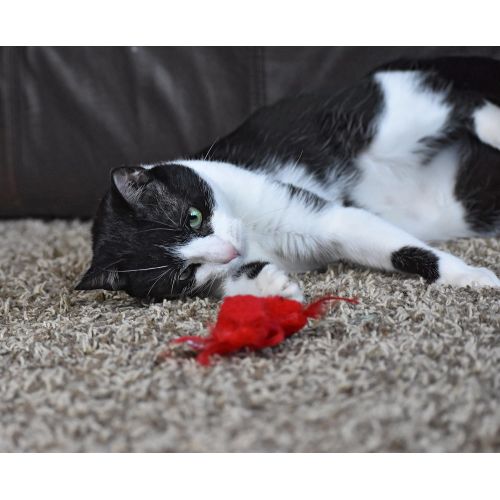  Our Pets OurPets Play-N-Squeak Real Birds Touch Down Interactive Cat Toy