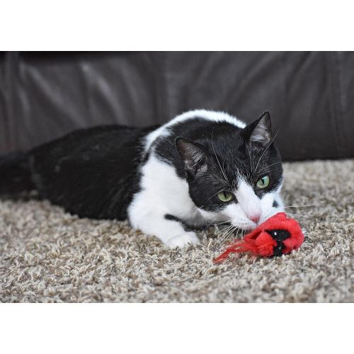  Our Pets OurPets Play-N-Squeak Real Birds Touch Down Interactive Cat Toy