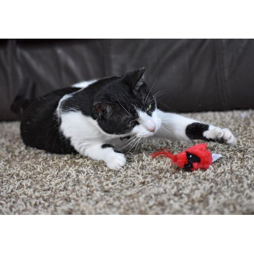  Our Pets OurPets Play-N-Squeak Real Birds Touch Down Interactive Cat Toy