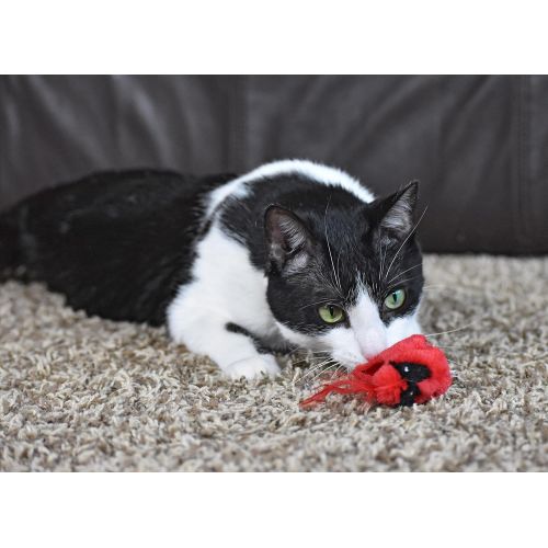  Our Pets OurPets Play-N-Squeak Real Birds Touch Down Interactive Cat Toy