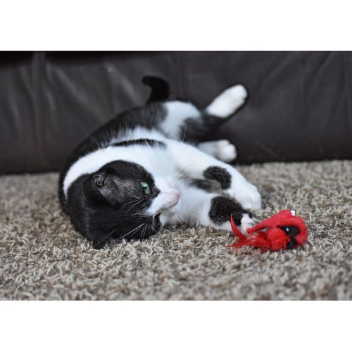  Our Pets OurPets Play-N-Squeak Real Birds Touch Down Interactive Cat Toy