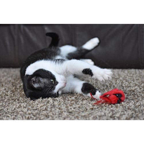  Our Pets OurPets Play-N-Squeak Real Birds Touch Down Interactive Cat Toy