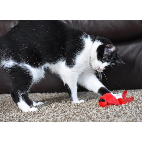  Our Pets OurPets Play-N-Squeak Real Birds Touch Down Interactive Cat Toy