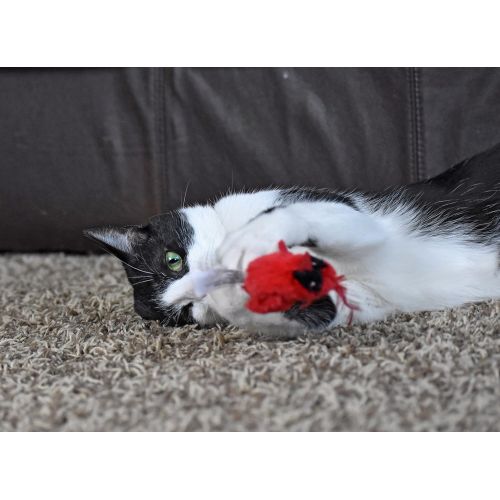  Our Pets OurPets Play-N-Squeak Real Birds Touch Down Interactive Cat Toy