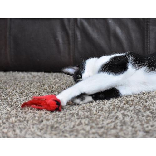  Our Pets OurPets Play-N-Squeak Real Birds Touch Down Interactive Cat Toy