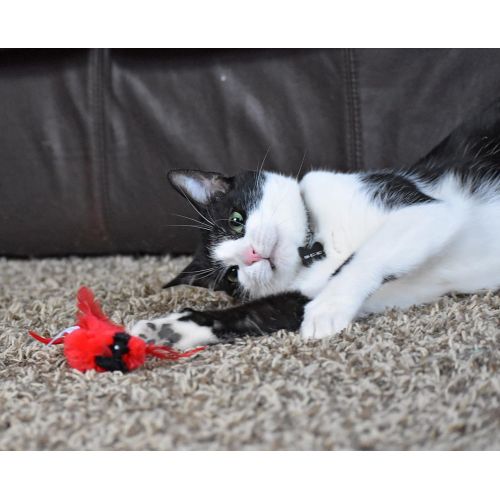  Our Pets OurPets Play-N-Squeak Real Birds Touch Down Interactive Cat Toy