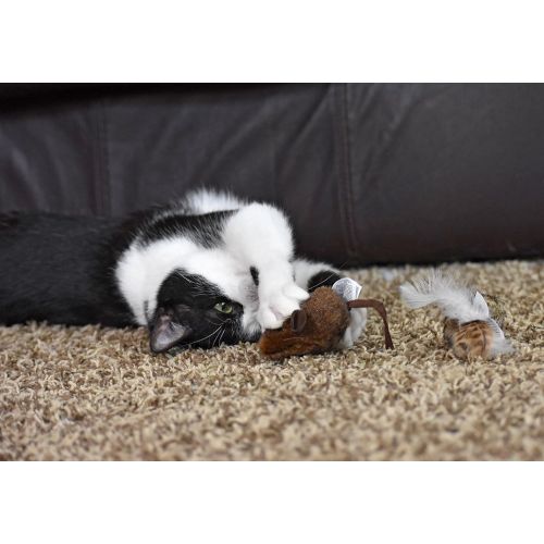  Our Pets OurPets Play-N-Squeak Twice the Mice Cat Toy, 2pc