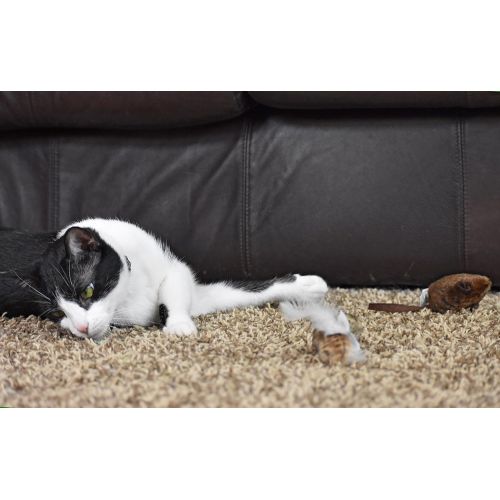  Our Pets OurPets Play-N-Squeak Twice the Mice Cat Toy, 2pc