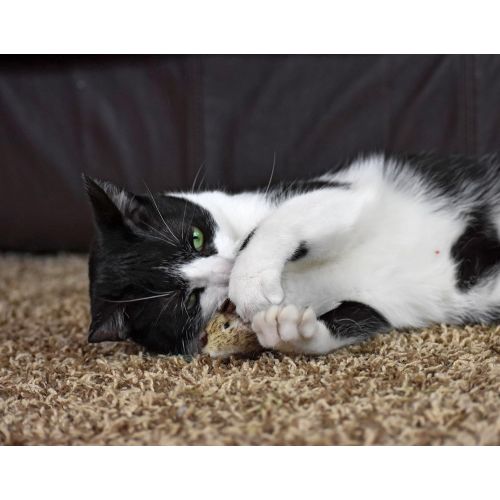  Our Pets OurPets Play-N-Squeak Twice the Mice Cat Toy, 2pc