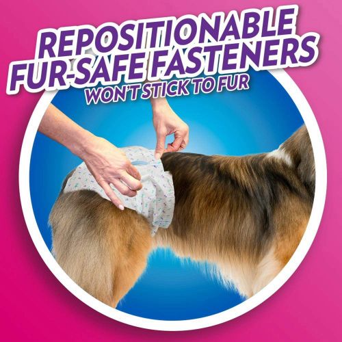  Out! OUT! Disposable Diapers for Dogs, X-Small/Small, 16 Count, 8 Pack