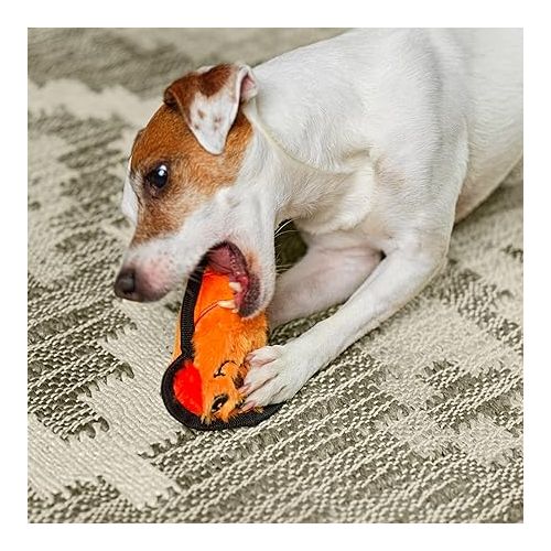  Outward Hound Durablez Tough Plush Squeaky Dog Toy, Dog, Orange, XS