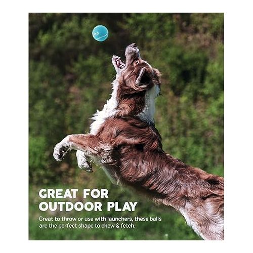  Outward Hound Squeaker Ballz Fetch Dog Toy, Medium - 4 Pack