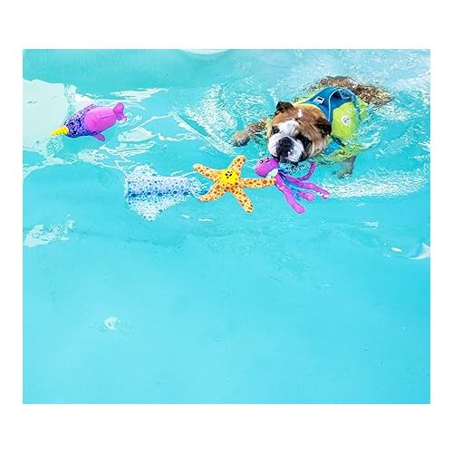  Outward Hound Floatiez Clownfish Floating Interactive Dog Toy, Small