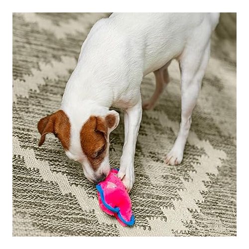 Outward Hound Durablez Tough Plush Squeaky Dog Toy, Pig, Pink, XS