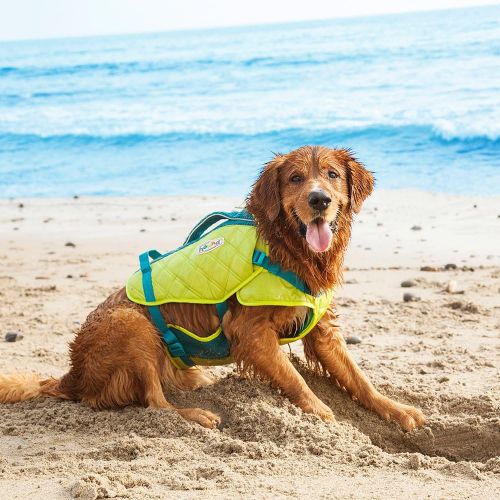  Outward Hound Standley Sport Experienced Swimmer Life Jacket for Dogs