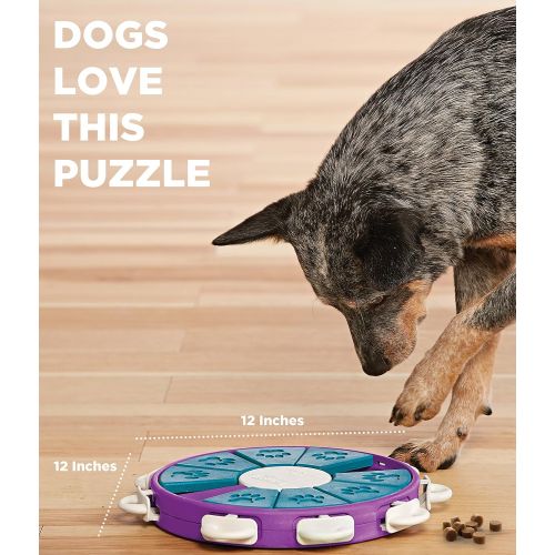  Outward Hound Nina Ottosson Dog Twister Advanced Dog Puzzle Toy  The Stimulating Treat Dispensing Game for Smart Dogs’ Toy Boxes: Pet Supplies