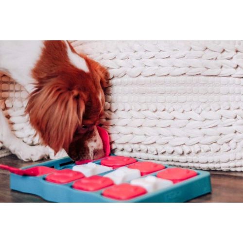  Nina Ottosson By Outward Hound - Interactive Puzzle Game Dog Toys