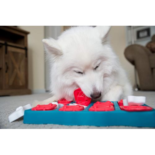  Nina Ottosson By Outward Hound - Interactive Puzzle Game Dog Toys