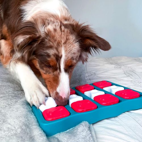  Nina Ottosson By Outward Hound - Interactive Puzzle Game Dog Toys
