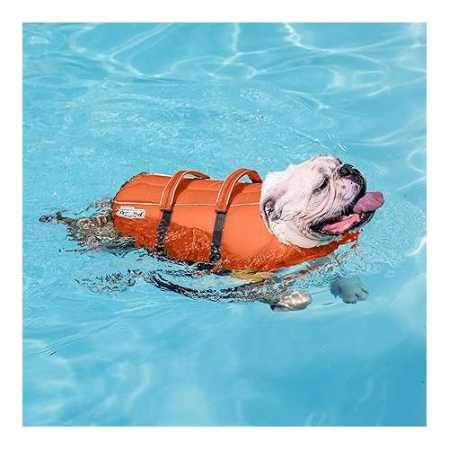  Outward Hound Granby Splash Orange Dog Life Jacket, Small