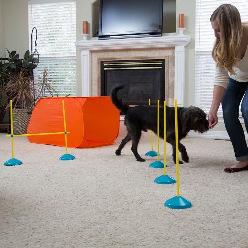  Outward Hound ZipZoom Beginner Dog Agility Training Obstacle Course & Tail Teaser Wand