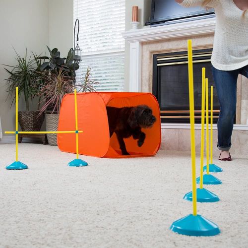  Outward Hound ZipZoom Beginner Dog Agility Training Obstacle Course & Tail Teaser Wand