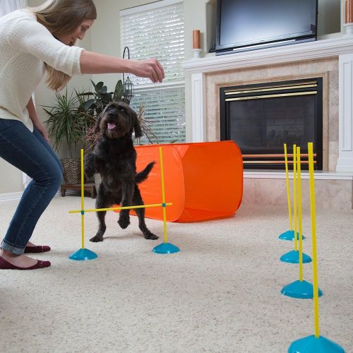  Outward Hound ZipZoom Beginner Dog Agility Training Obstacle Course & Tail Teaser Wand