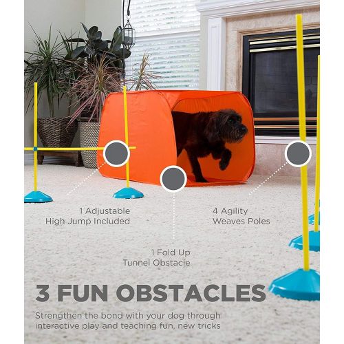  Outward Hound ZipZoom Beginner Dog Agility Training Obstacle Course & Tail Teaser Wand