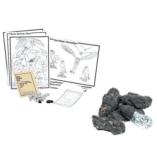  Owl Traditional Pellet Deluxe Classroom Kit by PELLETS INC.