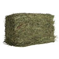 Oxbow Animal Health Western Timothy Hay For Pets, 25-Pound