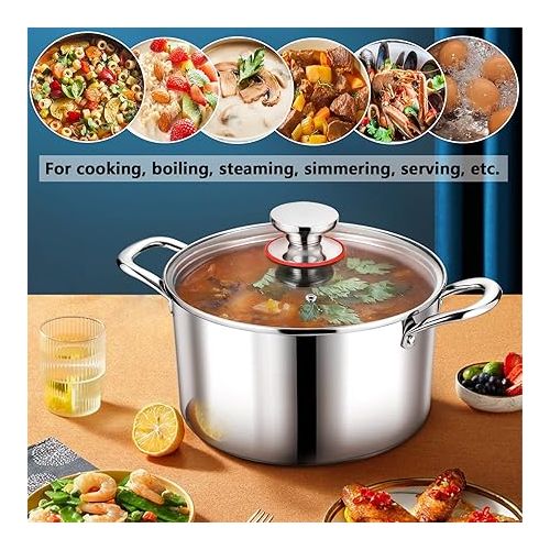  P&P CHEF 6 Quart Stock Cooking Pot, Tri-Ply Stainless Steel Stockpot with Lid for Induction Gas Electric Stoves, Transparent Cover & Double Riveted Handles, Heavy Duty & Dishwasher Safe