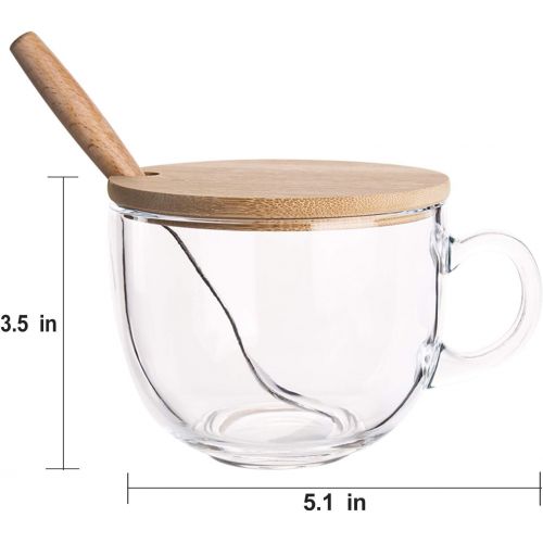  [아마존베스트]PARACITY Glass Cup 15OZ Clear Coffee Mug with Lids Spoon for Breakfast Tea,Milk,Beverage,Oats,yoghurt